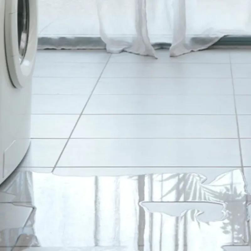 Appliance Leak Cleanup in Lincoln, AR