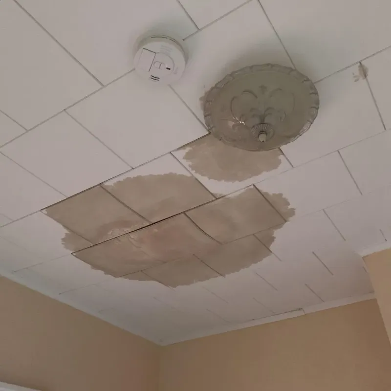 Ceiling Water Damage Repair in Lincoln, AR