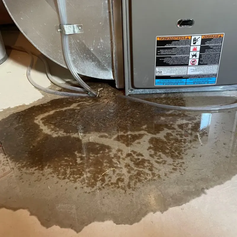 Pipe Burst and Leak Restoration in Lincoln, AR