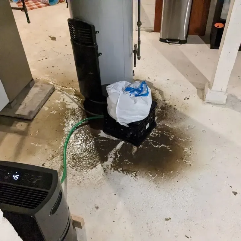 Sewage Backup Cleanup Service in Lincoln, AR